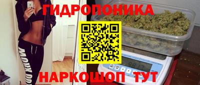 прущие крисы Новодвинск