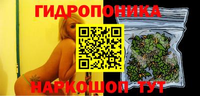 прущие крисы Новодвинск