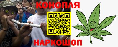 хмурый Новозыбков