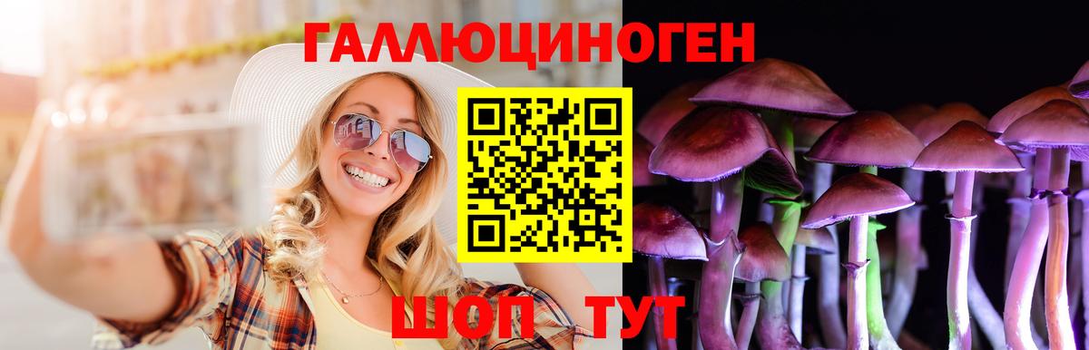 Галлюциногенные грибы GOLDEN TEACHER  Галлюциногенные грибы мицелий  Вход с VPN  Усть-Илимск 