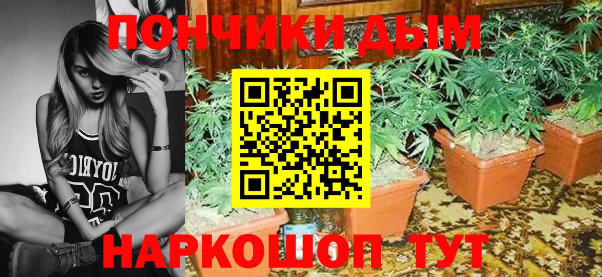 Конопля гибрид Усть-Илимск